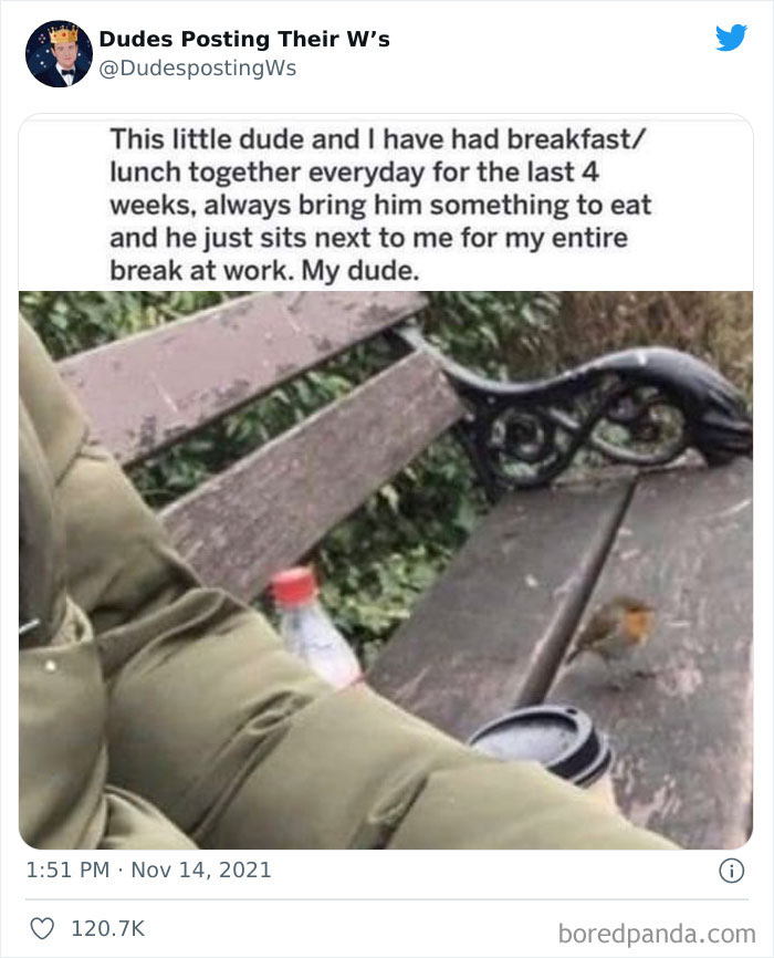 Men-Sharing-Their-Wholesome-Wins