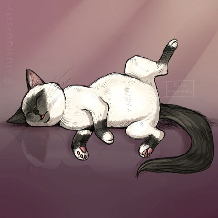 Artist Shows Everyday Life With A Cat Summarized In Adorable Comics (69 New Pics)