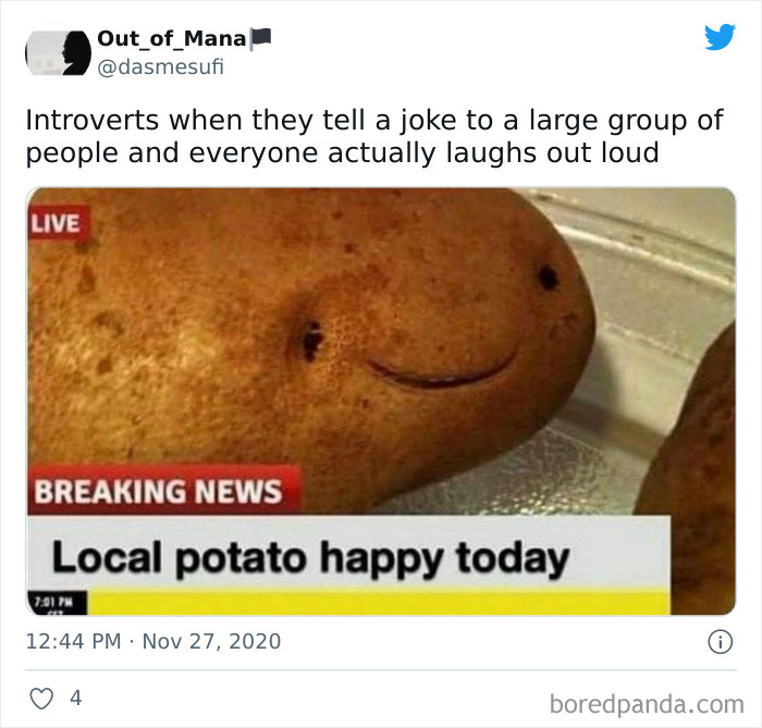 Meme from Introvert Nation showing a happy potato with caption about introverts telling jokes to groups.