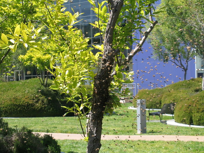 “What Is A Little-Known Fact That Can Save You From A Life-Threatening Situation?” (30 Answers)