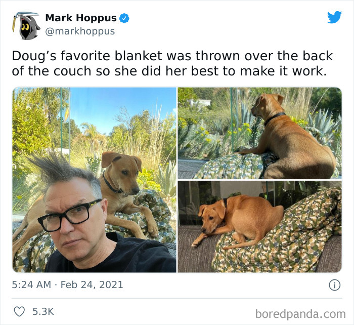 Best-Celebrity-Tweets