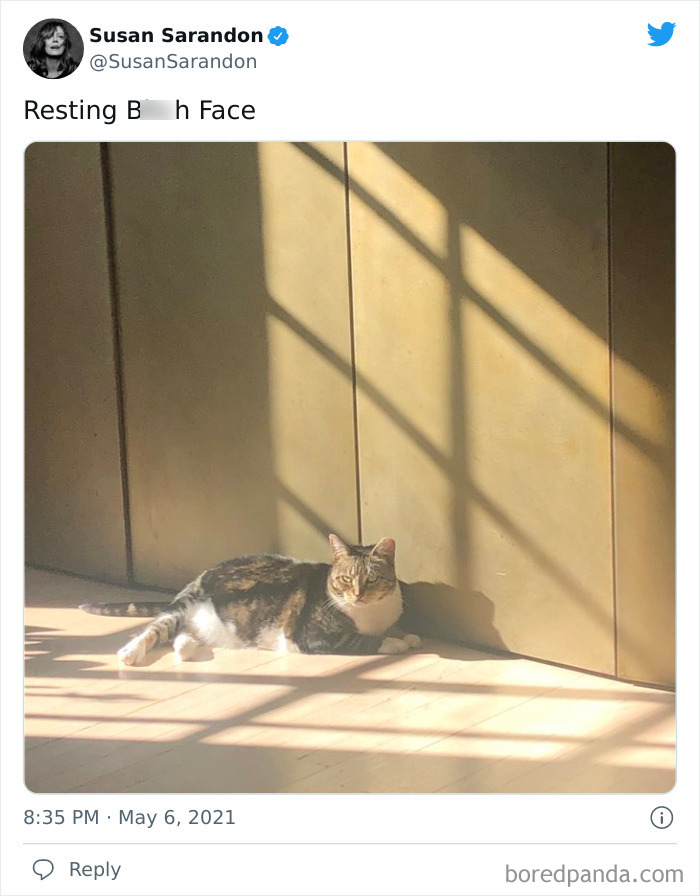 Best-Celebrity-Tweets