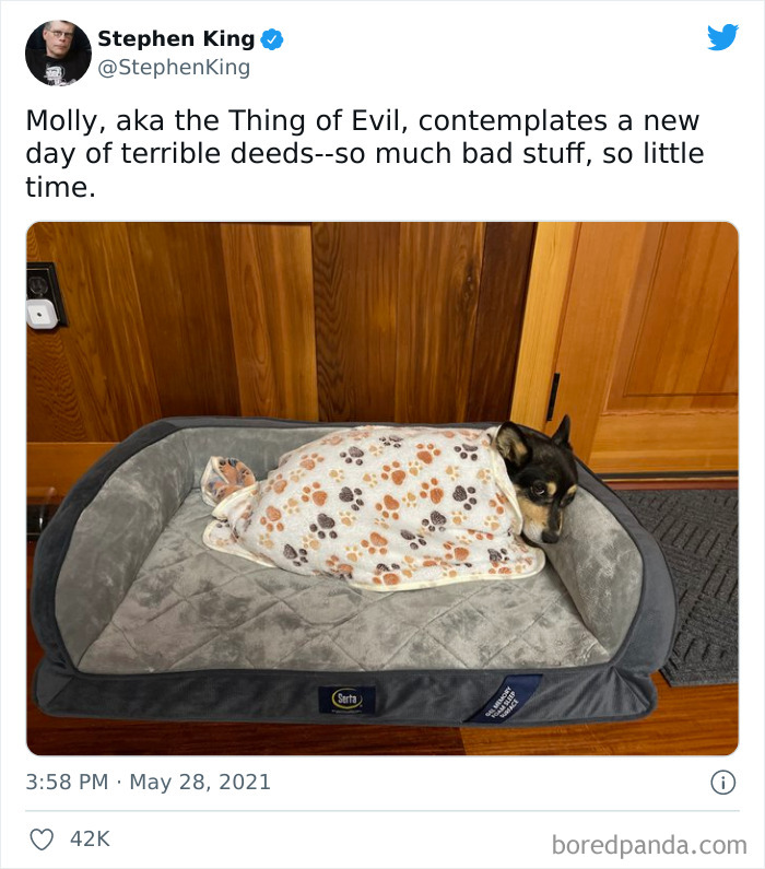 Best-Celebrity-Tweets