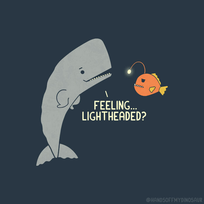 I Drew Animals In Funny Everyday Situations