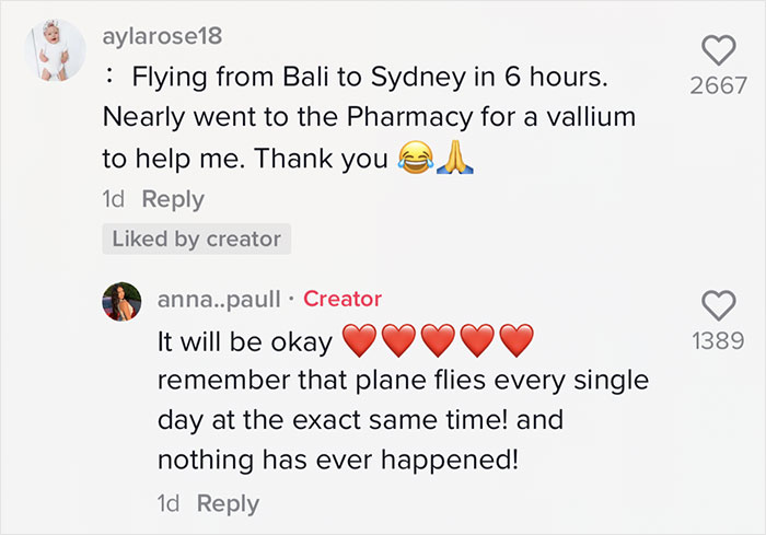 Woman Shares An Example Of Why Turbulence Should Not Scare You And Millions Find It Helpful