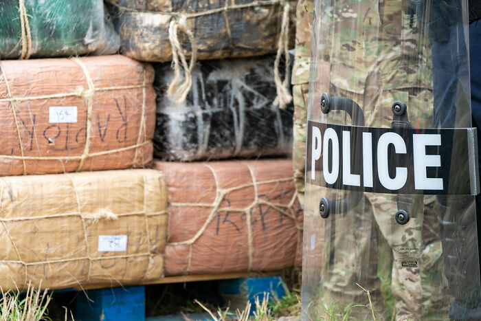 Person Asks “What’s A ‘Fun Fact’ That Isn’t Fun At All?” And 30 Folks Deliver