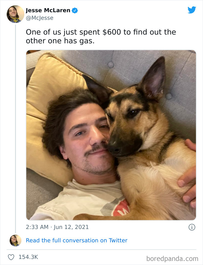 Ridiculous-Vet-Bills