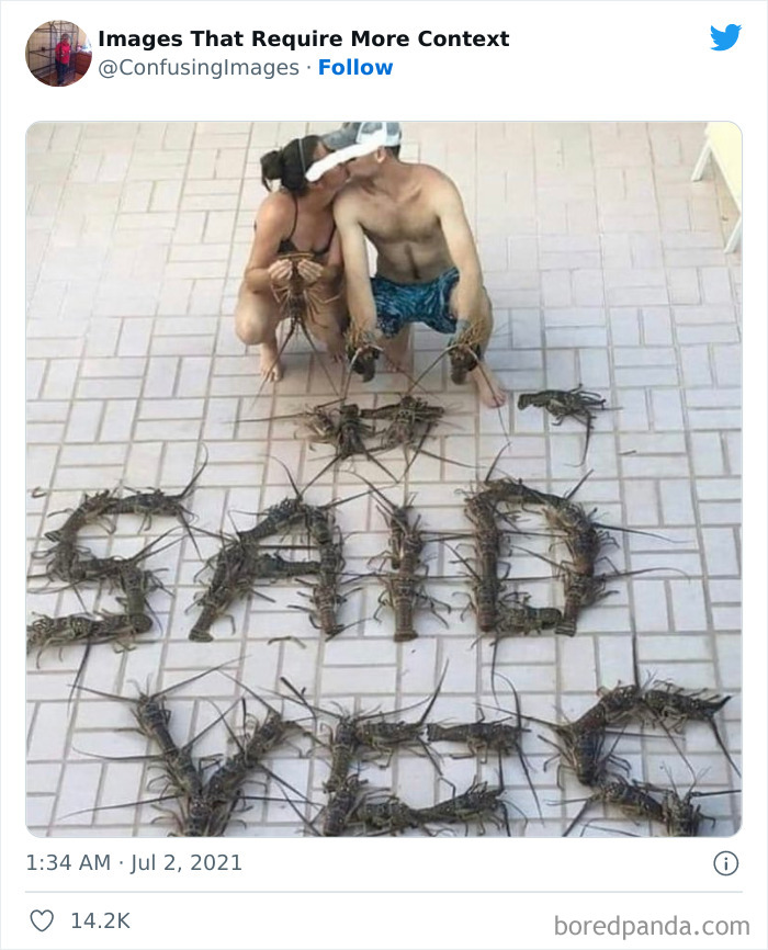 Confusing-Images-Require-More-Context