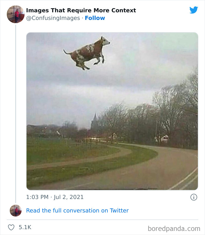 Confusing-Images-Require-More-Context