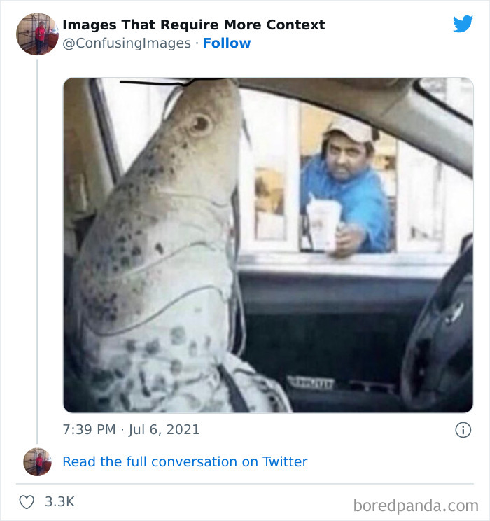 Confusing-Images-Require-More-Context