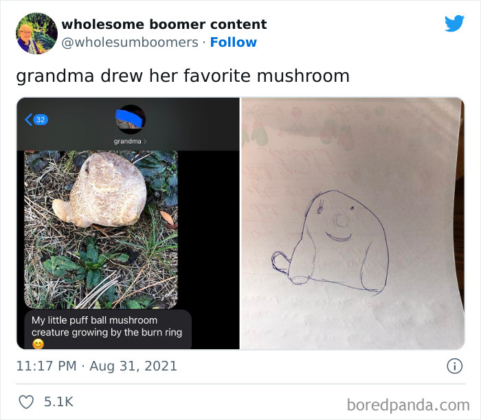 Wholesome-Boomers-Content-Pics