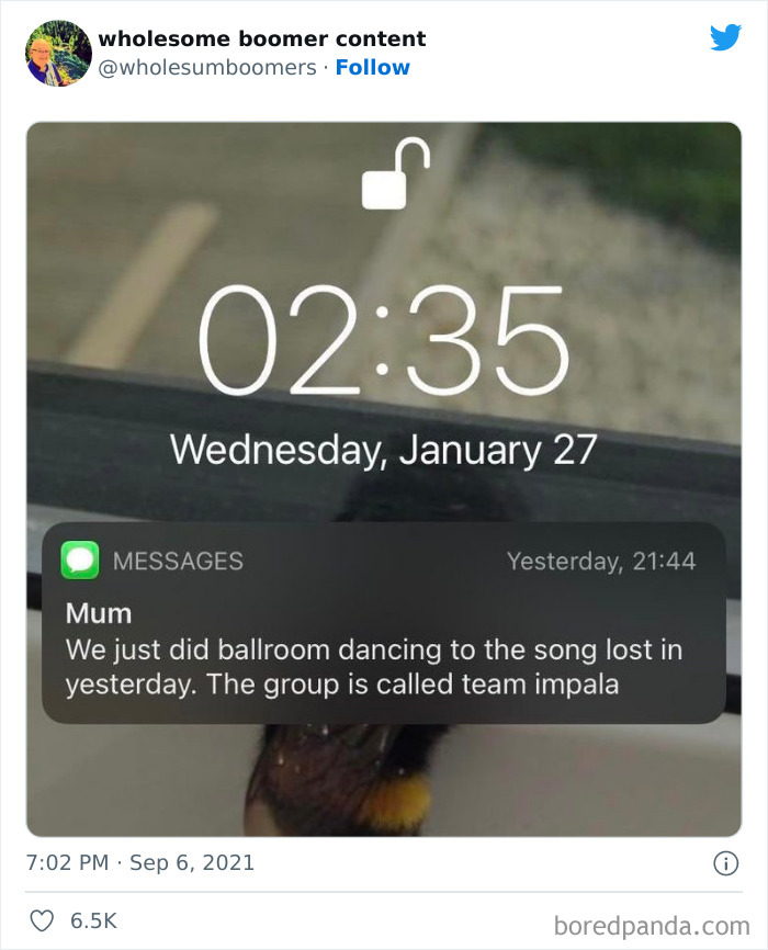 Wholesome-Boomers-Content-Pics