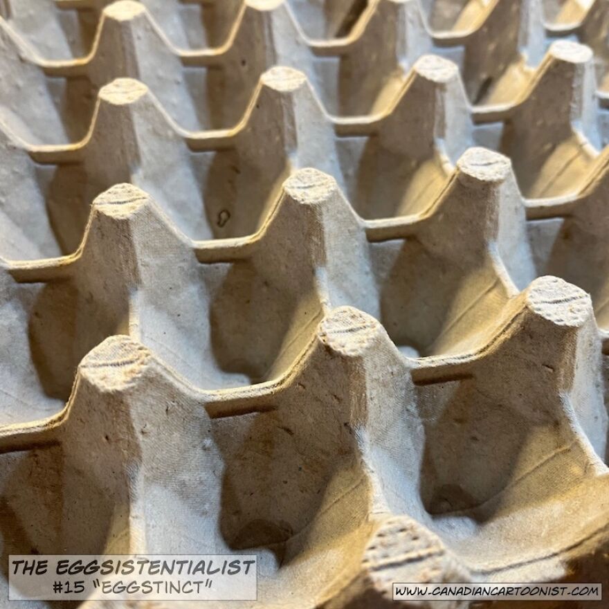 "Eggstinct"