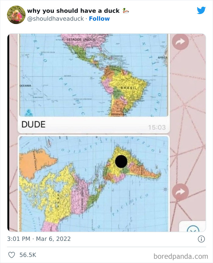 Why You Should Have A Duck