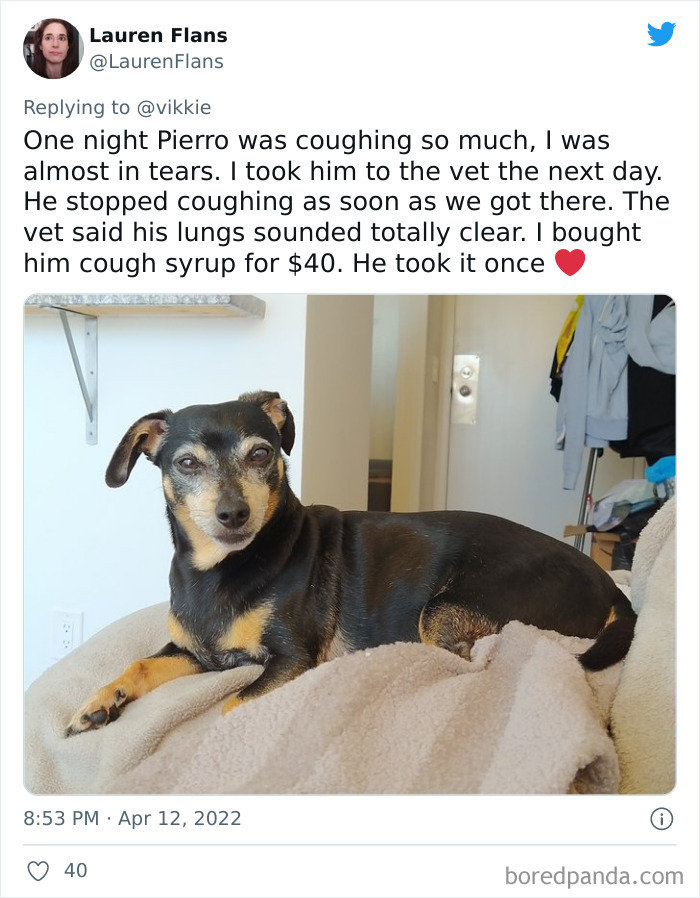 Ridiculous-Vet-Bills