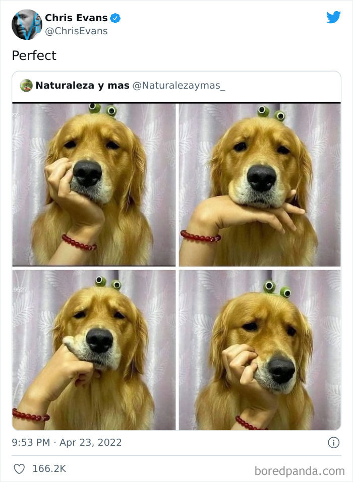 Best-Celebrity-Tweets