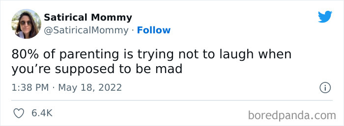 Satirical-Mommy-Memes