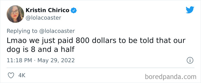 Ridiculous-Vet-Bills