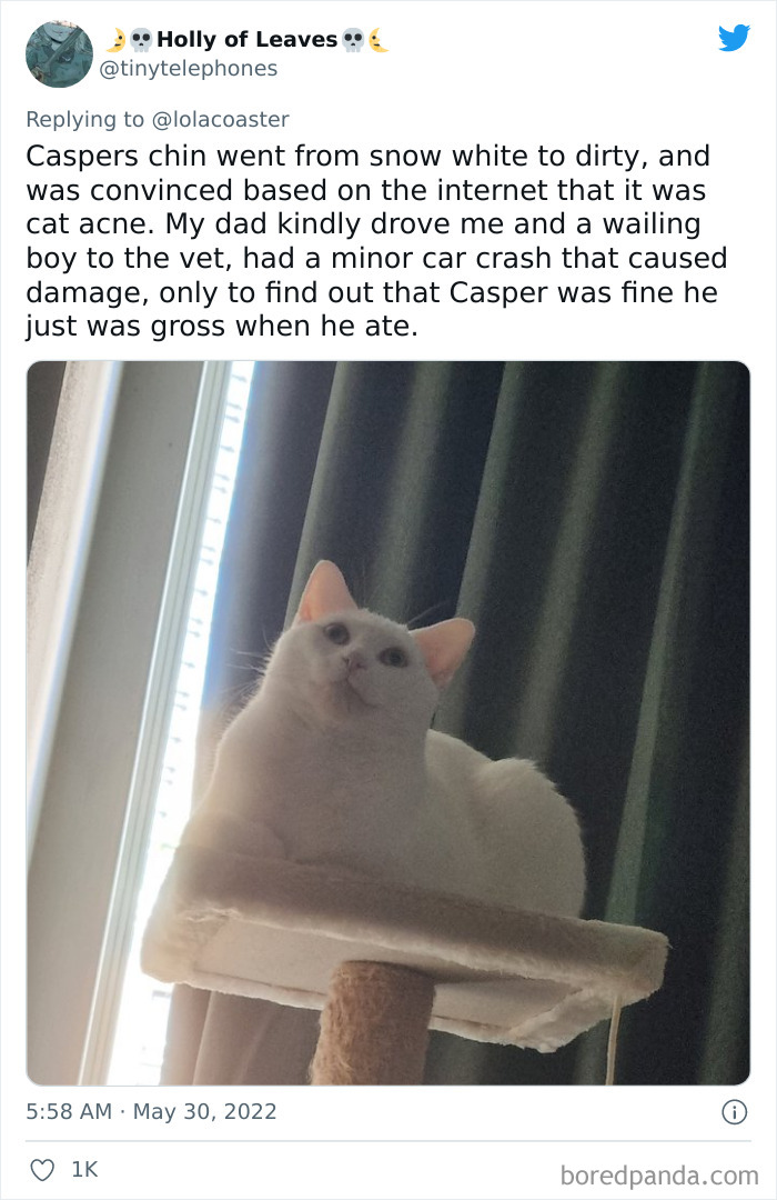 Ridiculous-Vet-Bills