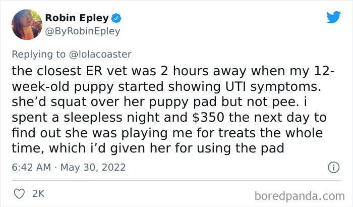 Ridiculous-Vet-Bills