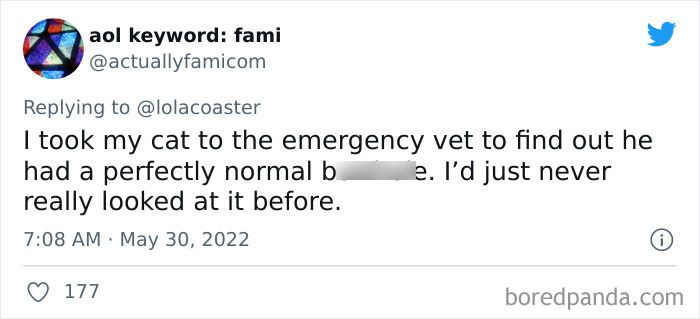 Ridiculous-Vet-Bills