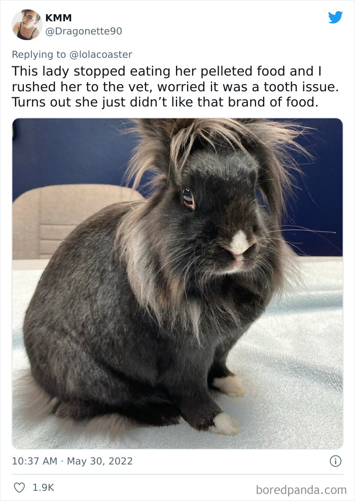 Ridiculous-Vet-Bills