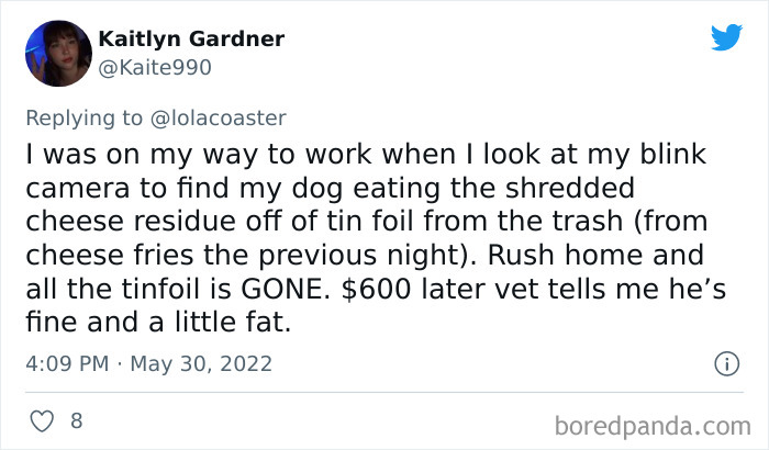 Ridiculous-Vet-Bills