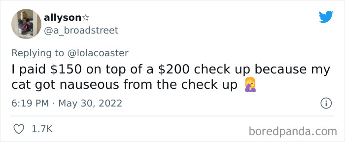 Ridiculous-Vet-Bills