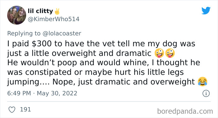 Ridiculous-Vet-Bills