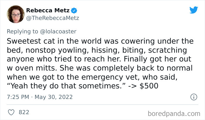 Ridiculous-Vet-Bills