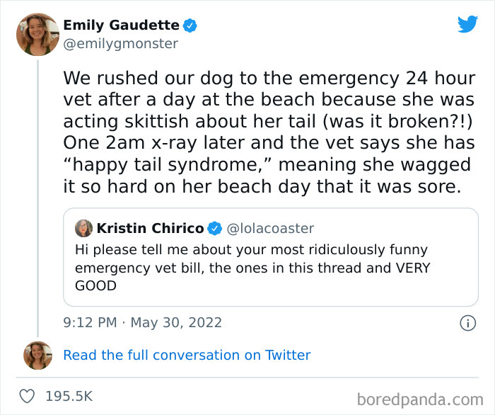 Ridiculous-Vet-Bills