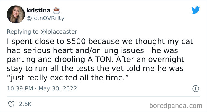 Ridiculous-Vet-Bills