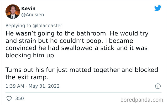 Ridiculous-Vet-Bills