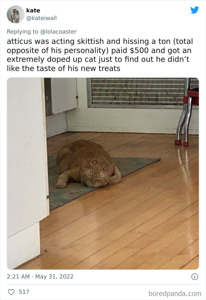 Ridiculous-Vet-Bills