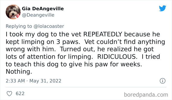 Ridiculous-Vet-Bills