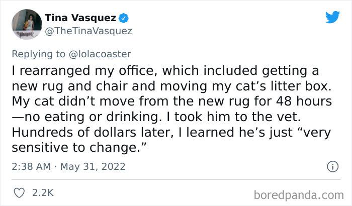 Ridiculous-Vet-Bills