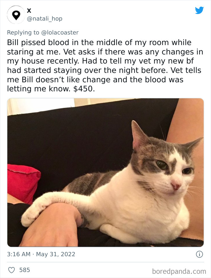 Ridiculous-Vet-Bills