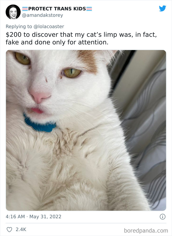 Ridiculous-Vet-Bills