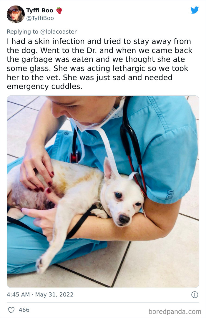 Ridiculous-Vet-Bills