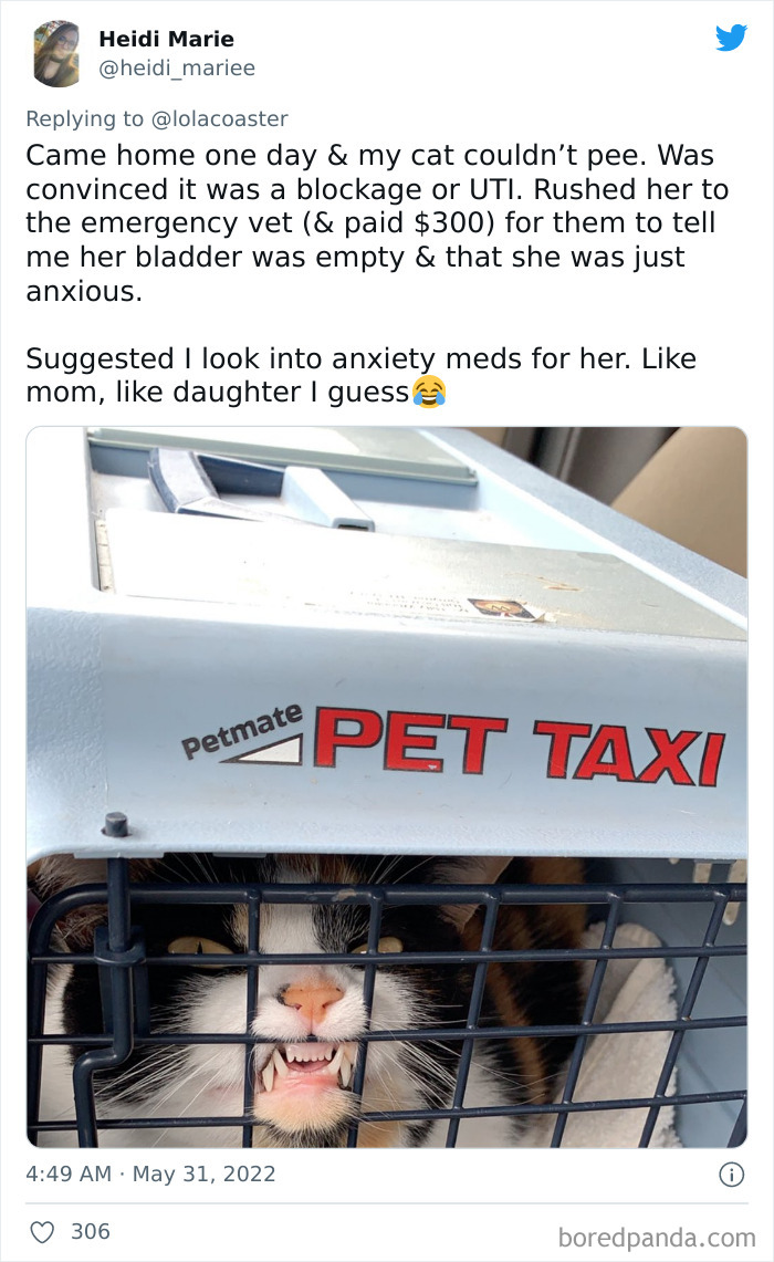 Ridiculous-Vet-Bills