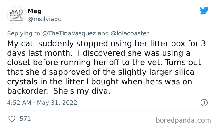 Ridiculous-Vet-Bills