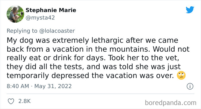 Ridiculous-Vet-Bills