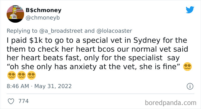 Ridiculous-Vet-Bills