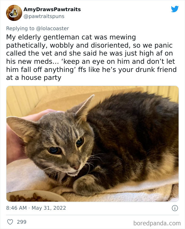 Ridiculous-Vet-Bills