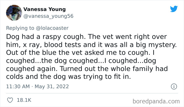 Ridiculous-Vet-Bills