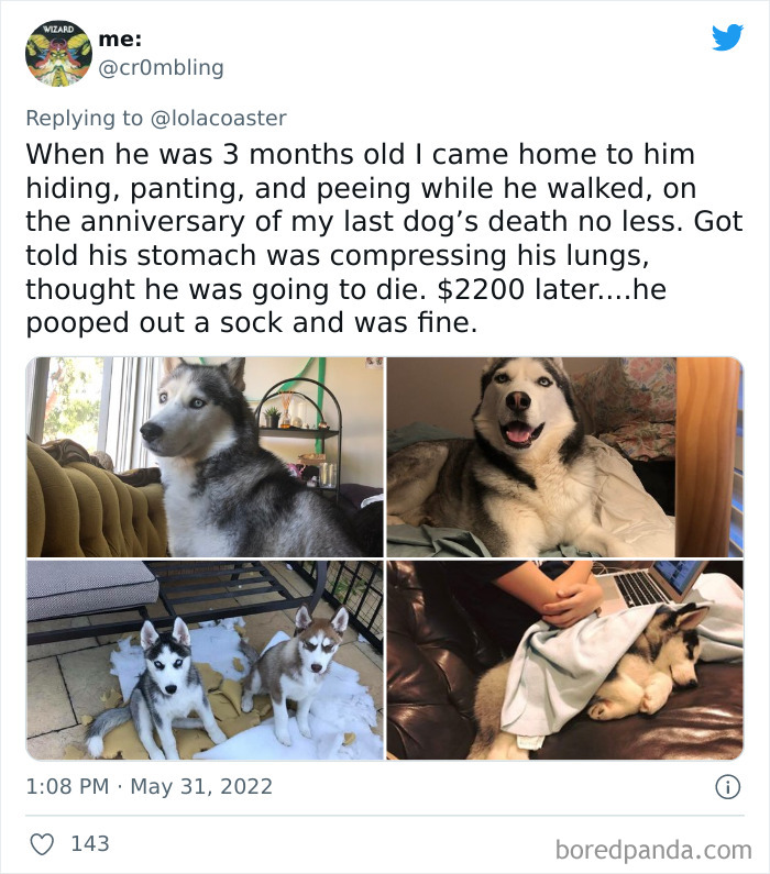 Ridiculous-Vet-Bills