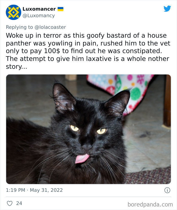 Ridiculous-Vet-Bills