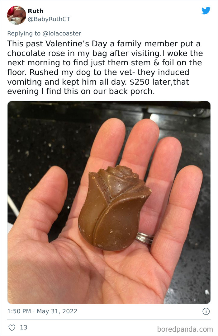 Ridiculous-Vet-Bills