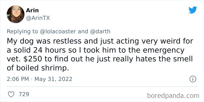 Ridiculous-Vet-Bills