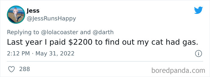 Ridiculous-Vet-Bills